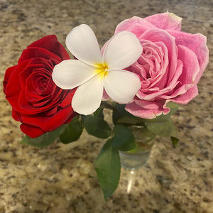 Meet your Posher, Dulce